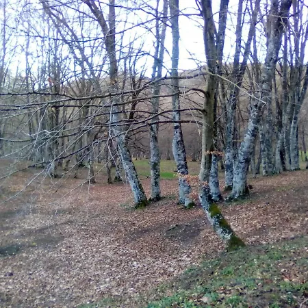 Apartment With 4 Bedrooms In With Wonderful Mountain View Furnished Garden And Wifi Potenza
